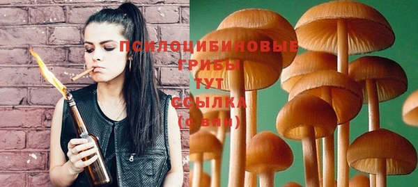 круглые Алзамай